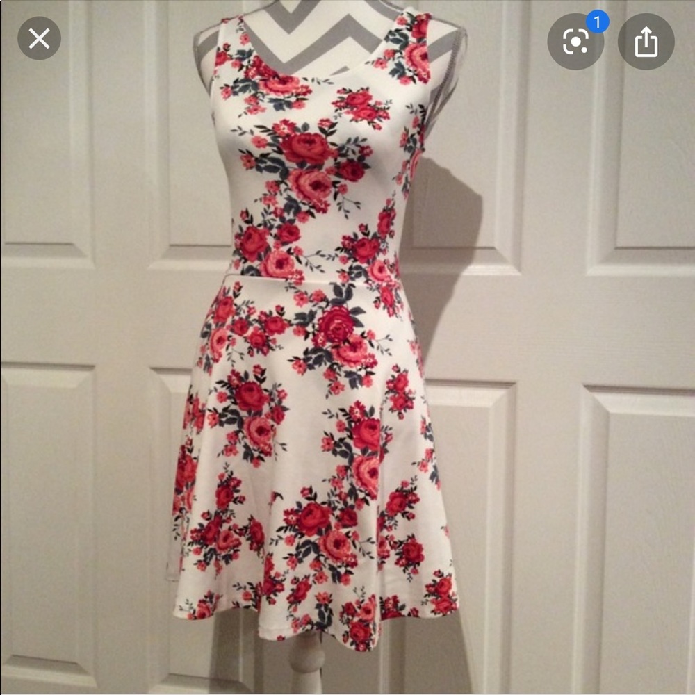 H&M Romantic/Floral Skater Dress